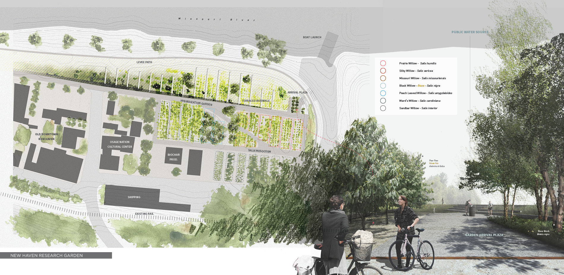 New Haven Hybridization / Research Garden